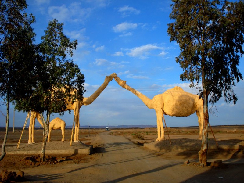 Domedaris in the hotel entrance in Merzouga