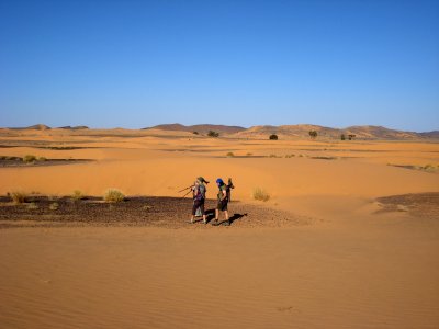 View of the Desert - Landscape