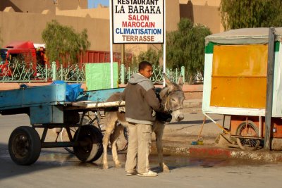 Boy in Rissani with the Donkey