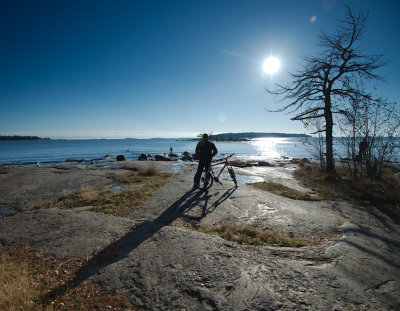 Biking by the pine (X)