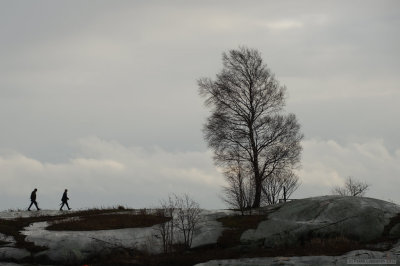 Aspen at Uunisaari III