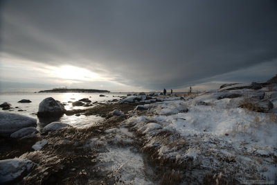 Wandering on a frozen beach