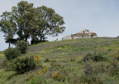 House on the hill II