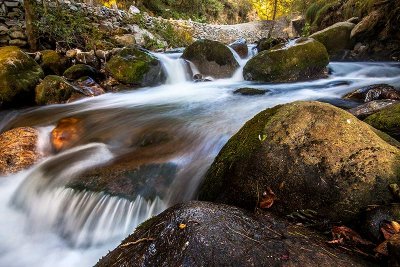 Mountain stream