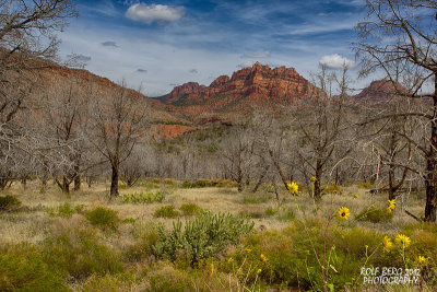 Kolob Terrace Road