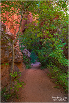 slot canyon on Burr Trail