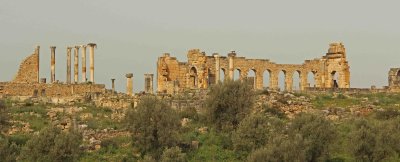 Roman ruins at Volubilis