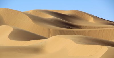 Dunes in the Sahara.