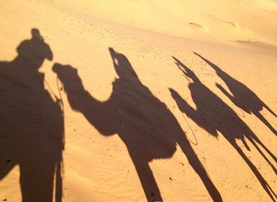 Shadows of camels and riders cast by the morning sun - in the Sahara.
