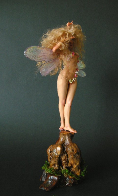 Orchid Nymph
