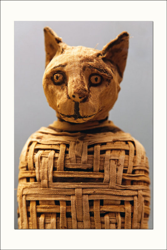 British Museum</br>Chat momifi ...