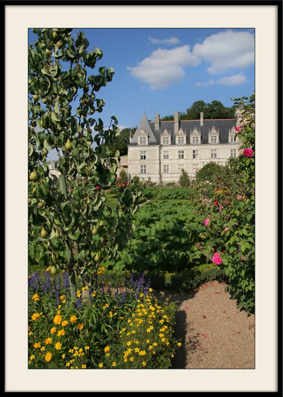 Chateau de Villandry</br>Jardin potager
