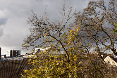Vikingsbergsparken
