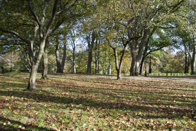 Vikingsbergsparken