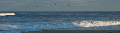 g2/43/765243/3/147179703.wxwmb57f.jpg