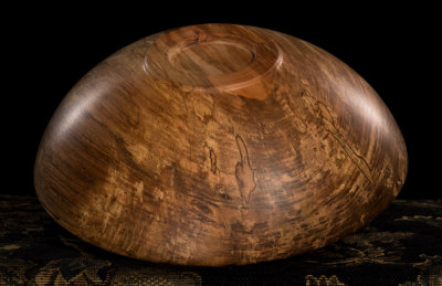 Ambrosia Maple 3