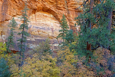 Arch in Zion National Park, UT