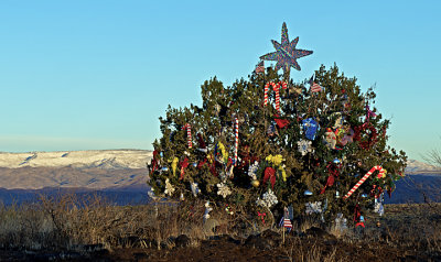 Arizona's Christmas Tree near Sunset Point on I-17, AZ