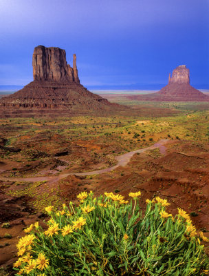  Mules ears and Mitten Buttes, Monument Valley, AZ
