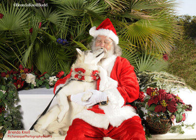 _DSC4275-5x7-one-husky-kissing-Santa.jpg