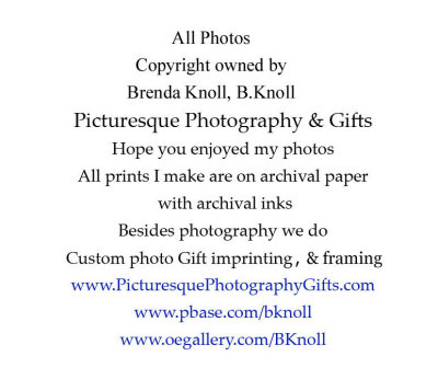 wPicturesque Photography  Gifts.jpg