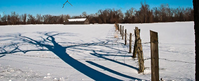 Fences