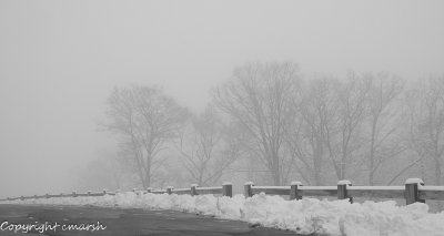 CLM_6833.jpg - On a grey day ...