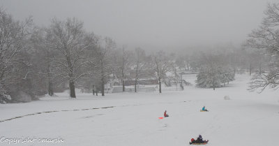 CLM_6838.jpg - Winter Frolic