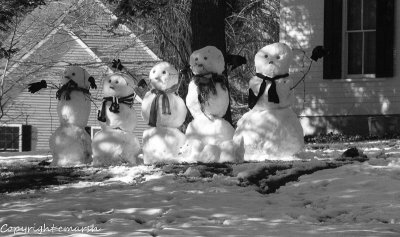 CLM_6875.jpg - Snow Sentries