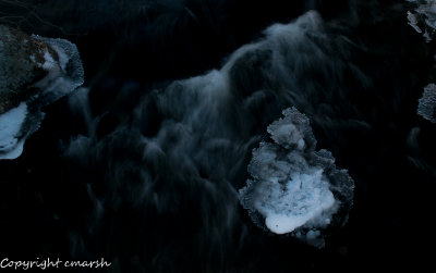 CLM_6961.jpg - Ice Floe