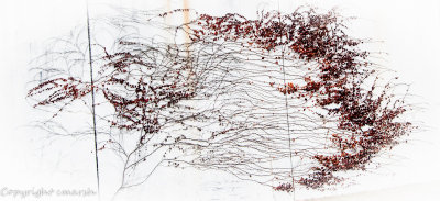 CLM_6147.jpg - The Wall - Abstracts by Nature