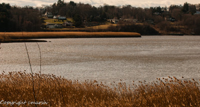 CLM_7048.jpg - The Marsh