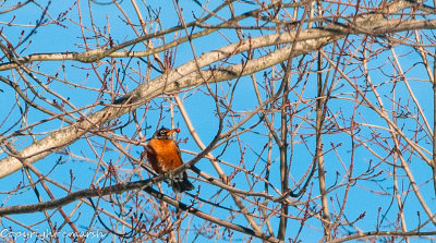 CLM_7283.jpg - After the Snow