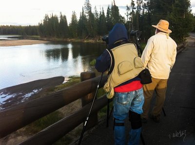 WilBrandon-bridgeIMG_0851.jpg