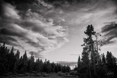 _MG_6350_as_Smart_Object-1.jpg