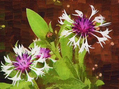 Another Strange Flower-Impasto.jpg