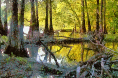 Bayou_DAP_004-AlphaB.jpg