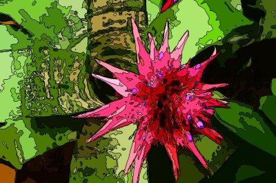 Bromylid flower-sm-silk.JPG