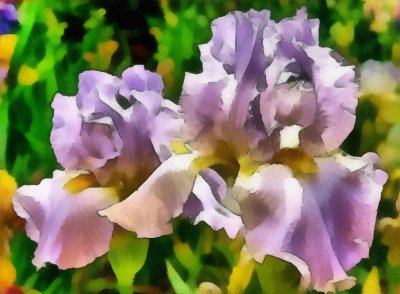 Close Irises_DAP_Realism.JPG
