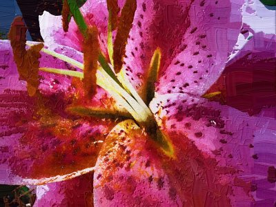 Lily Impasto.JPG