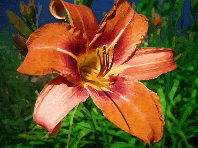 Lily-paint.jpg