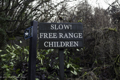 Beware of Free Ranging Children