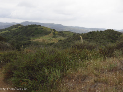 Lower Chiquita Ridge Road