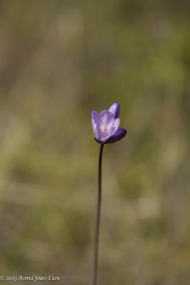 The Richard and Donna O'Neill Conservancy