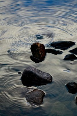IMG_7563.jpg