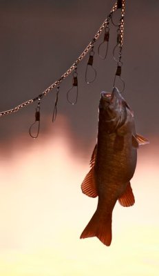 IMG_7586.jpg