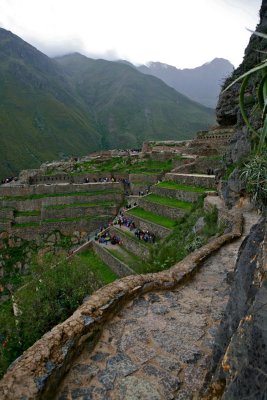 IMG_0866.jpg