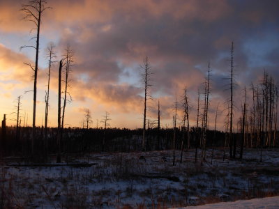 GT Pictures of the Kaibab (1).JPG