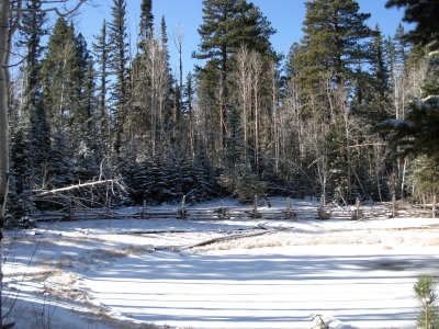 GT Pictures of the Kaibab (6).JPG