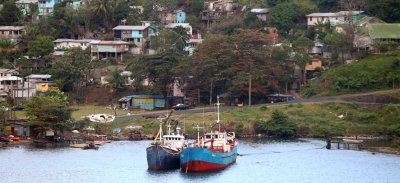 Fishing Boats in Castries harbor, St Lucia